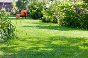 travaux jardin et paysage Pouan-les-Vallees